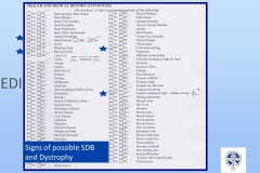 Slide16-1