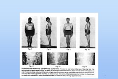 Slide51