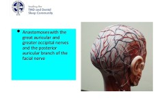 Slide60