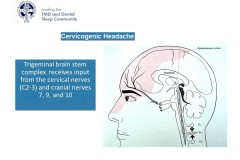 Slide61