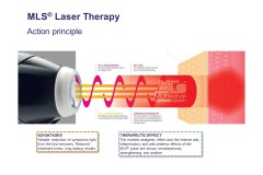 Slide17-2