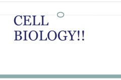 Slide24-2