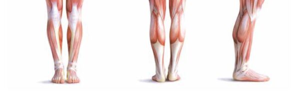 Webinar: MLS Therapeutic Laser in Clinical Practice: A Podiatrist’s Experience
