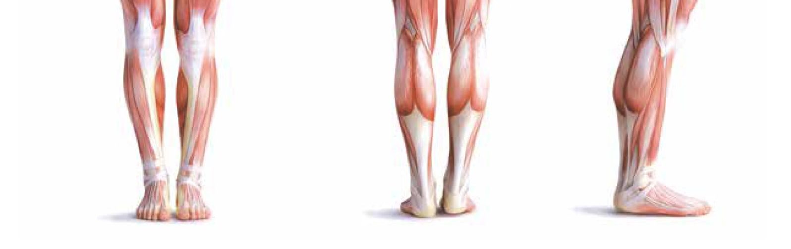 Webinar: MLS Therapeutic Laser in Clinical Practice: A Podiatrist’s Experience